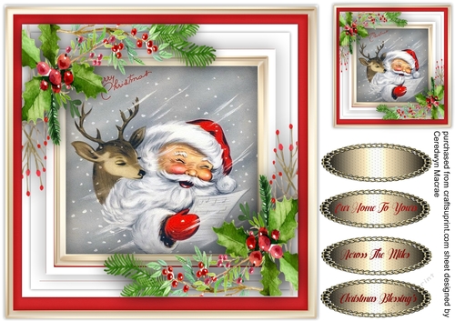 Gorgeous Santa In the Snow