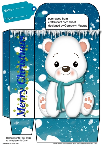 Beautiful Gift Bag ,Baby Polar Bear