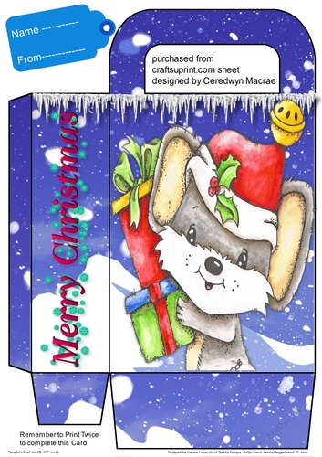Beautiful Gift Bag ,Christmas Mistie