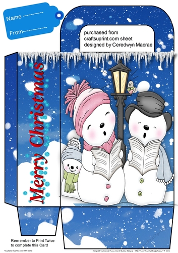 Beautiful Gift Bag ,Gorgeous Snowman