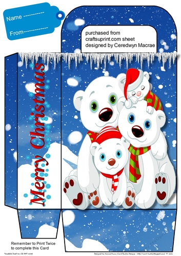 Beautiful Gift Bag ,Polar Surprise