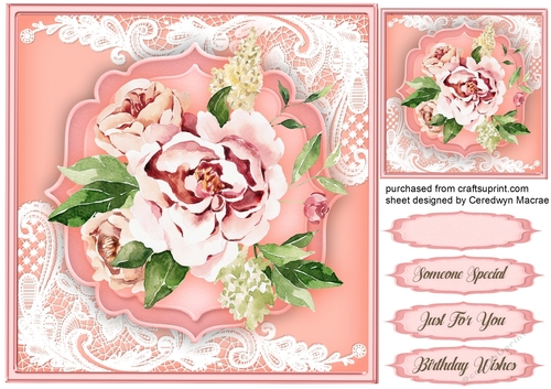 Beautiful Pink Delight