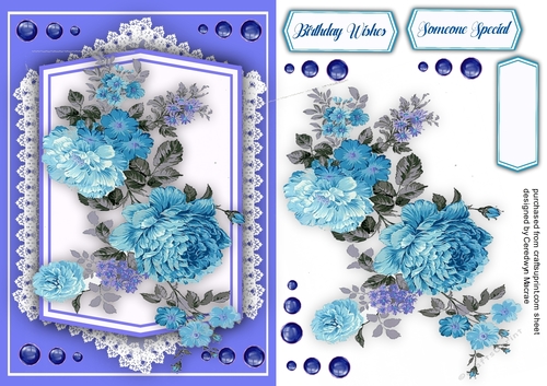 Gorgeous Blue Summer Roses 