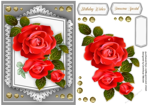 Gorgeous Red Summer Roses 