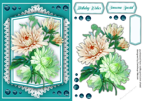 Gorgeous Summer Dahlias