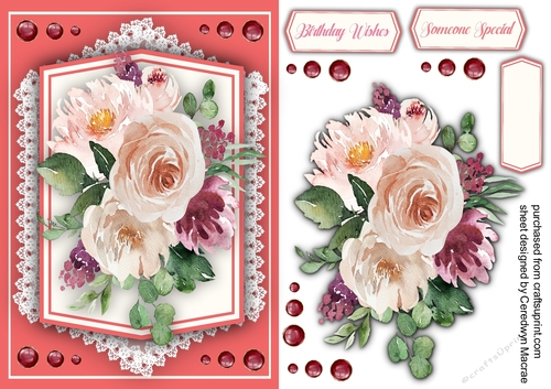 Gorgeous Summer Roses