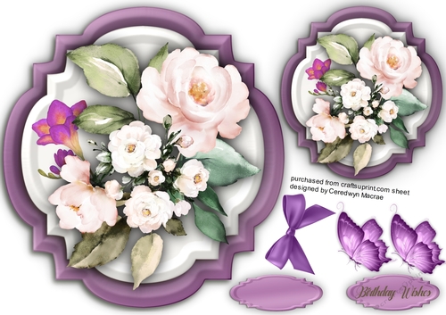 Beautiful Baby Pink Roses