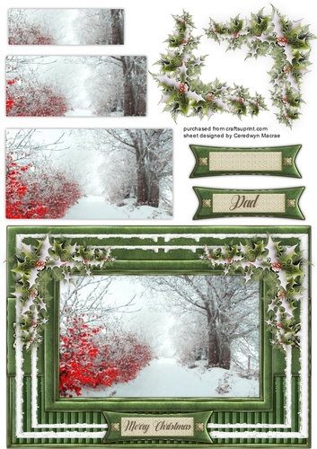 Beautiful Christmas Scene 1