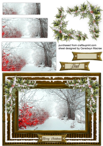 Beautiful Christmas Scene 3