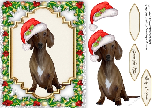 Gorgeous Christmas Dachshund