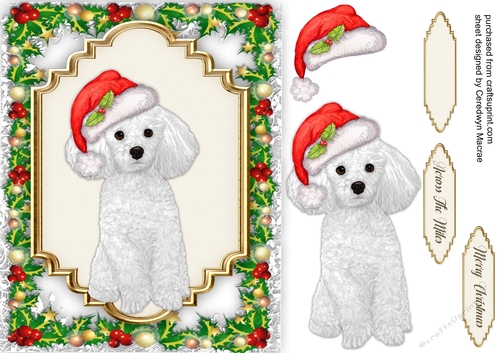 Gorgeous Christmas Poodle