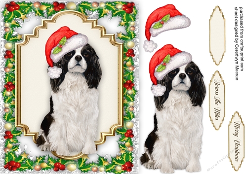 Gorgeous Christmas Spanial