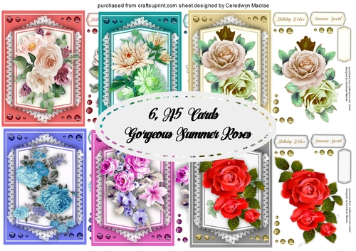 6, A5 Cards  Gorgeous Summer Roses