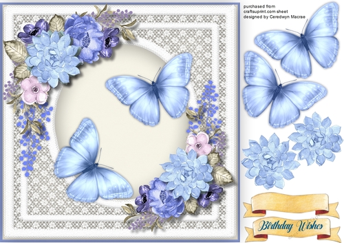 Gorgeous Butterflys and Roses  4