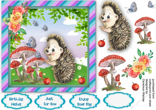 Hedgehog and Butterflys