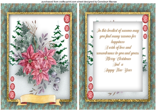 A5 ,The Christmas Poinsettia 