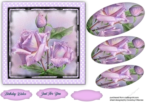 Gorgeous Lilac Roses