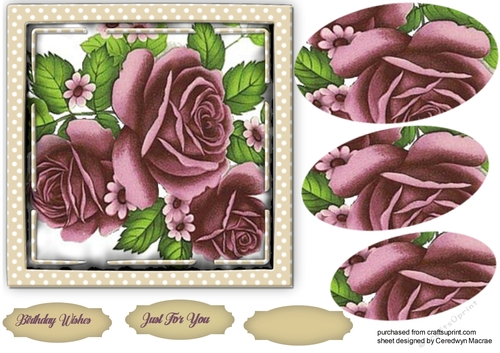 Gorgeous Mauve Roses