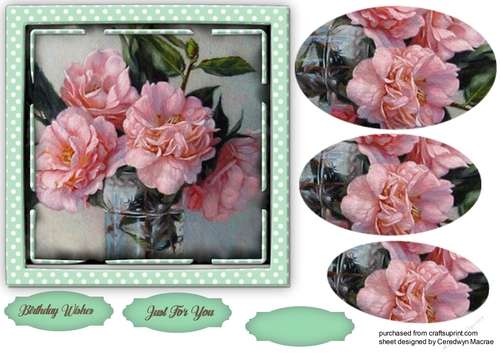 Gorgeous Pink Wild Roses