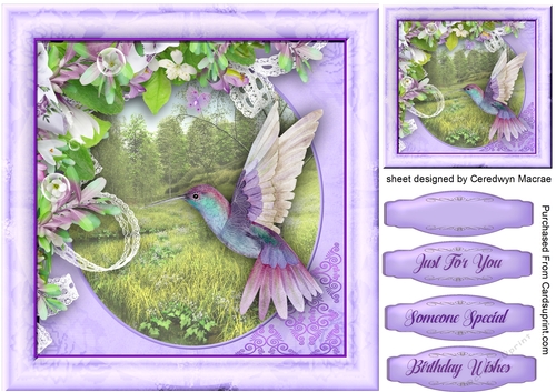 Beautiful Humming Bird in the Flowers  1