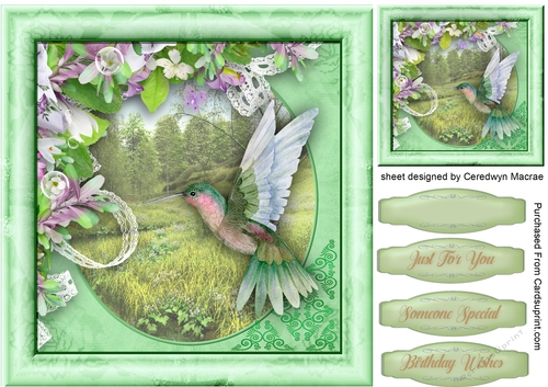 Beautiful Humming Bird in the Flowers  2