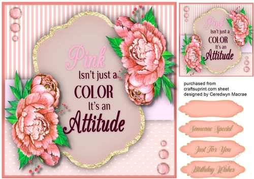 Pink is an Attitude