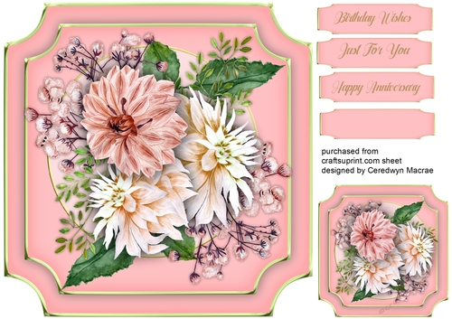 Beautiful Pink Dahlias