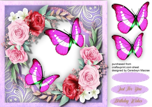 Beautiful Roses on lace with Butterflys 2