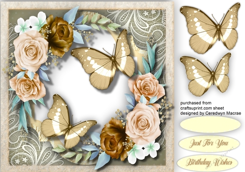 Beautiful Roses on lace with Butterflys  4