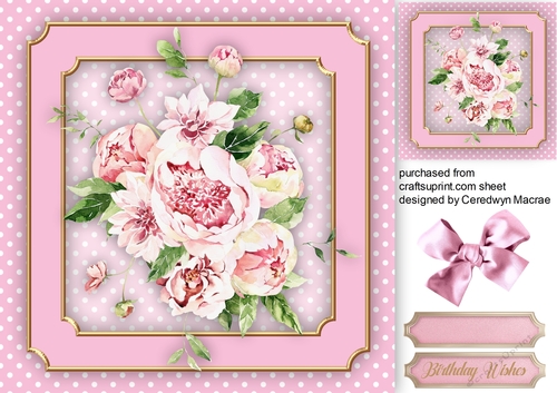 Beautiful Pink Peony  Roses 