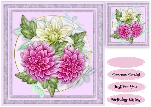 Beautiful  Lilac Chrysanthemums