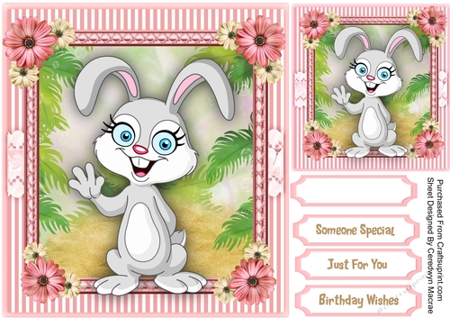 Lovely Bunny Boo 2