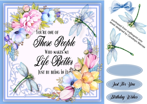 Beautiful Spring Flowers and Dragonflys
