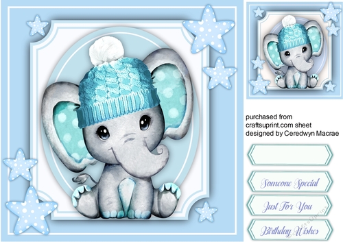 Gorgeous Elephant in a Blue Hat