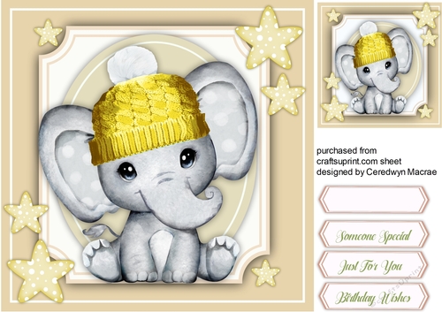 Gorgeous Elephant in a Yellow  Hat