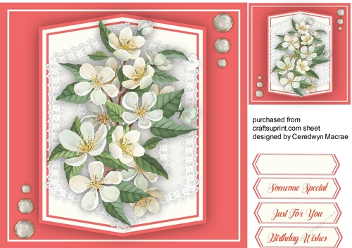 Stunning Apple Blossom