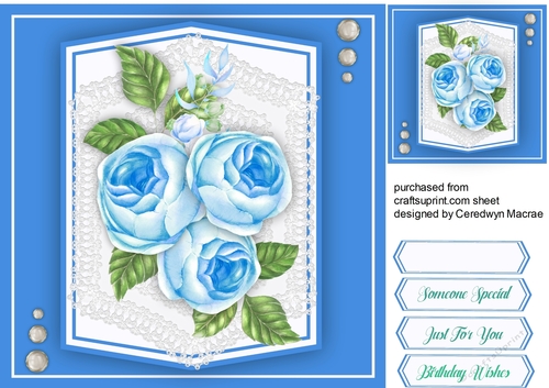 Stunning Blue Roses