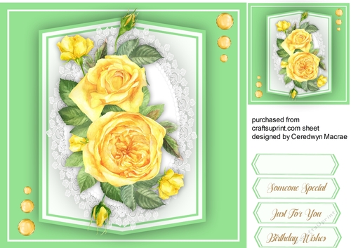 Stunning Yellow  Roses