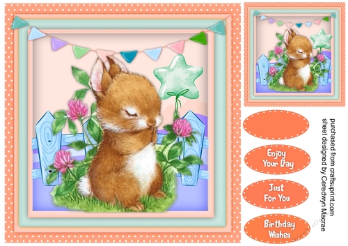 Gorgeous Rabbit in the Clover