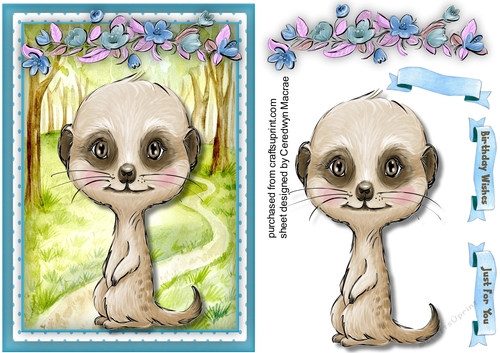 A5 , Gorgeous Meerkat Baby