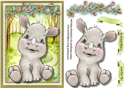 A5 , Gorgeous Rhino Baby