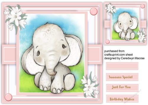 Gorgeous Baby Ellie