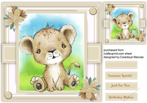 Gorgeous Baby Lion