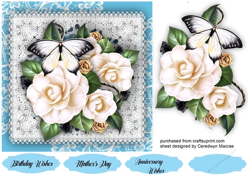 Gorgeous Lace and Fantasy Roses