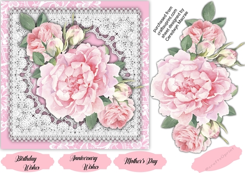 Gorgeous Lace and Pink Roses