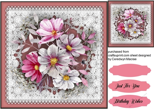 Beautiful Lace and Cosmos Flowers