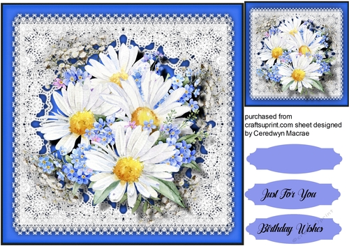 Beautiful Lace and Daisys 