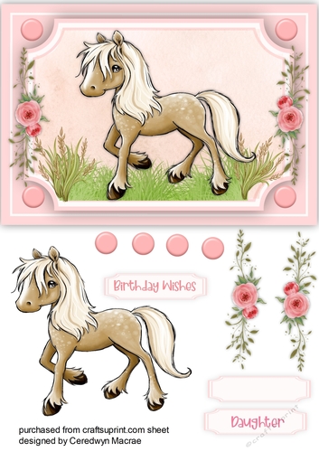 My Beautiful Pony, Pink