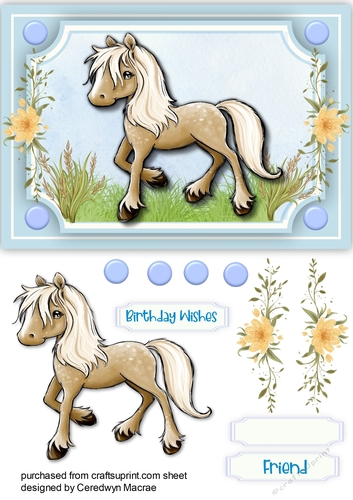 My Beautiful Pony, Blue