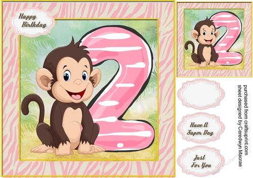 Monkeys  2nd Birthday